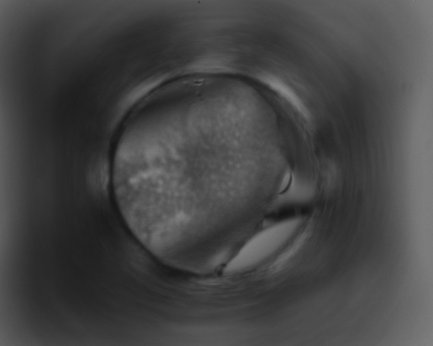 X0000095671461200801081159