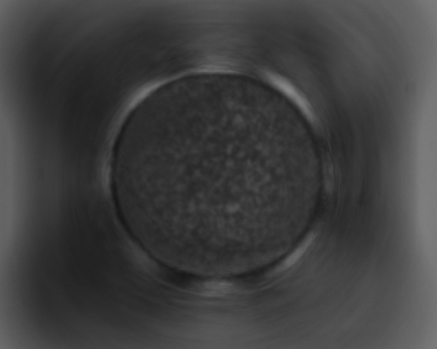 X0000095671463200801081159