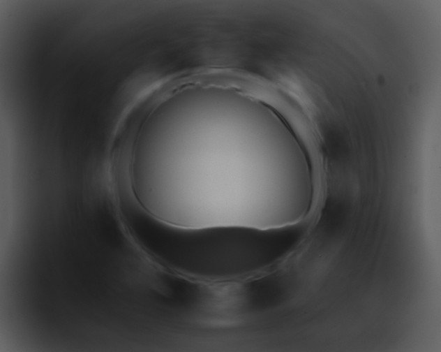 X0000095671464200801081159