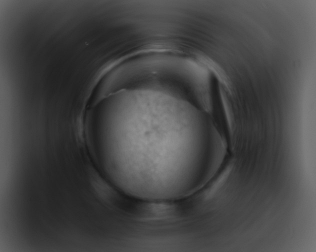 X0000095671465200801081159