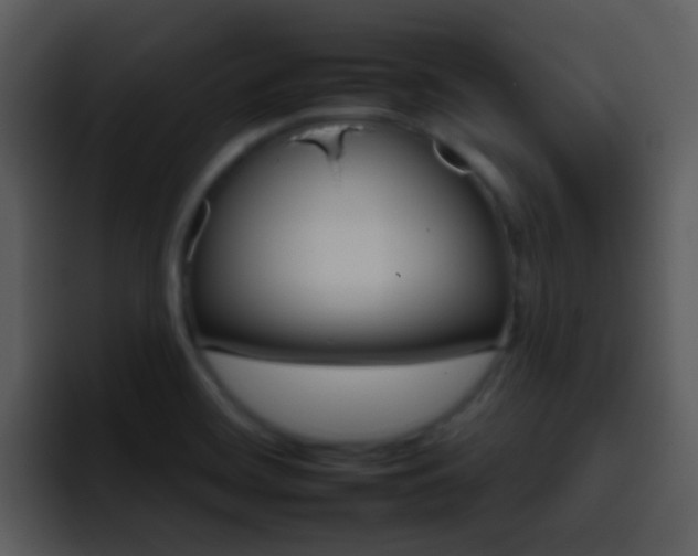 X0000095671468200801081159