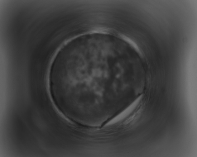 X0000095671471200801081159