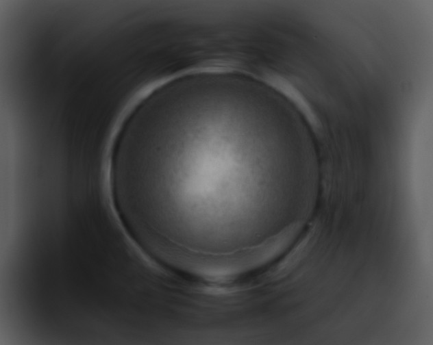 X0000095671472200801081159