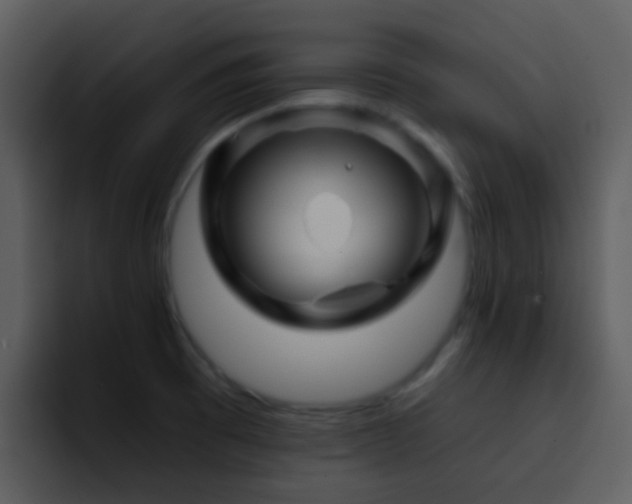 X0000095671473200801081159