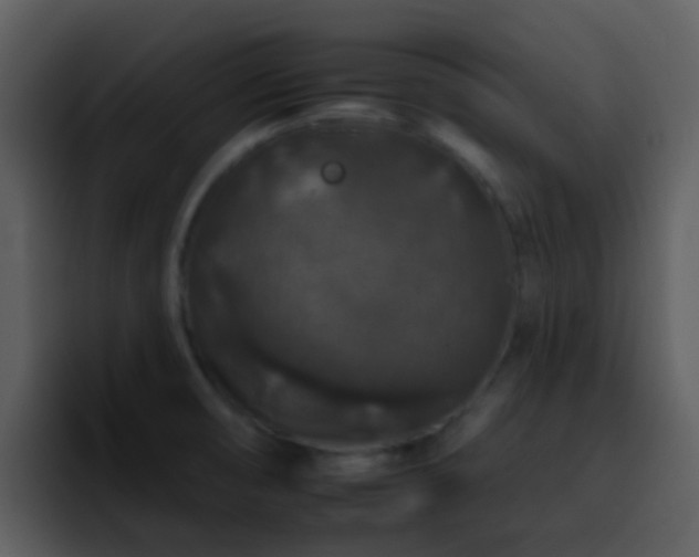 X0000095671474200801081159