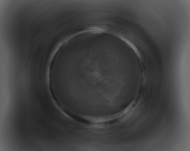 X0000095671477200801081159