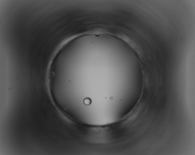 X0000095671478200801081159