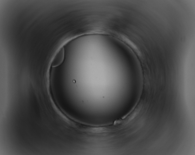 X0000095671479200801081159