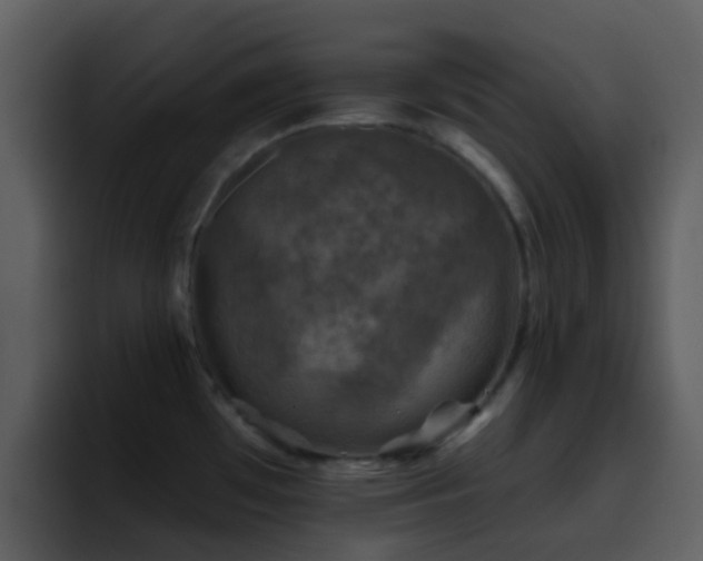X0000095671481200801081158