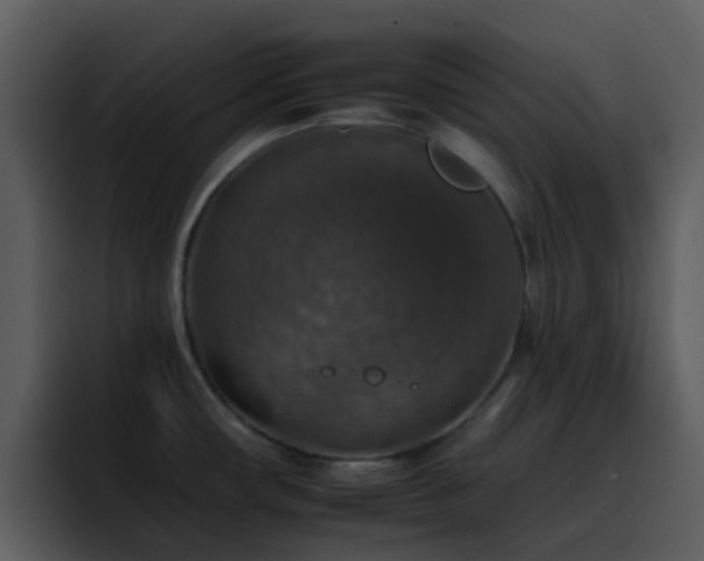 X0000095671482200801081158
