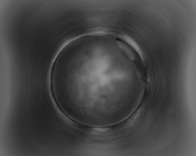 X0000095671483200801081158