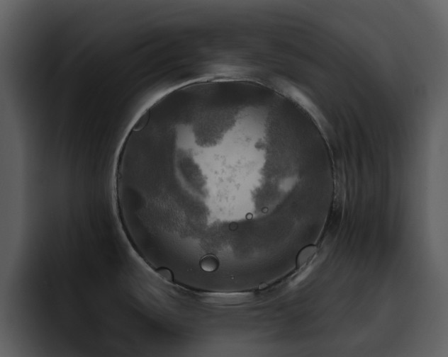 X0000095671487200801081158