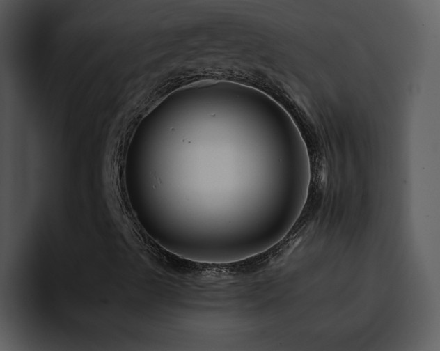 X0000095671489200801081158