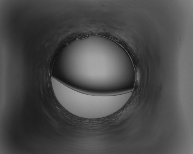 X0000095671492200801081158