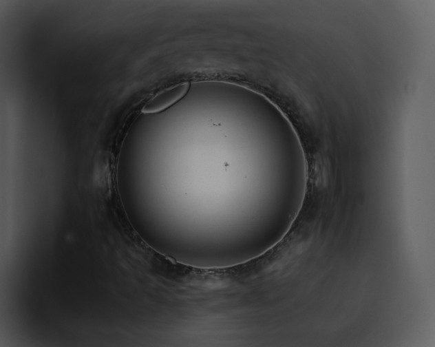 X0000095671493200801081158