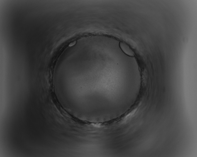 X0000095671494200801081158