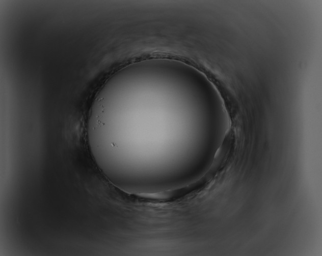X0000095671495200801081158