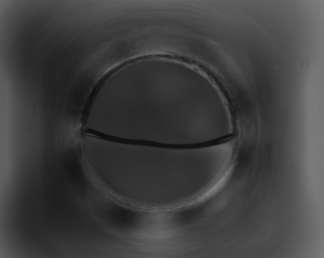 X0000095671497200801081158