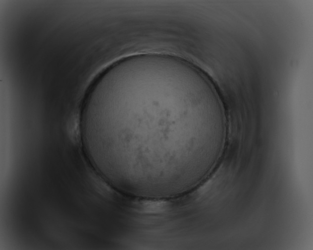 X0000095671498200801081158