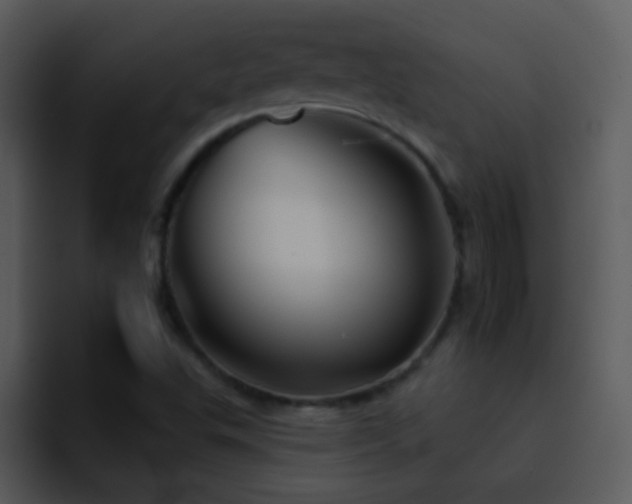 X0000095671503200801081158
