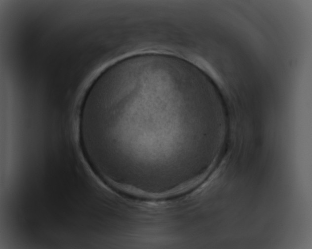 X0000095671504200801081158