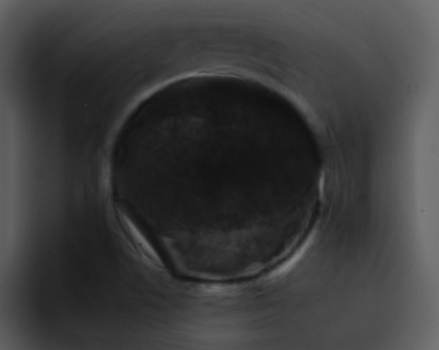 X0000095671506200801081158