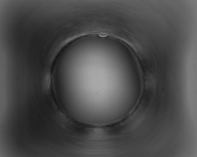 X0000095671507200801081158