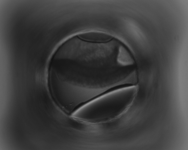 X0000095671508200801081158