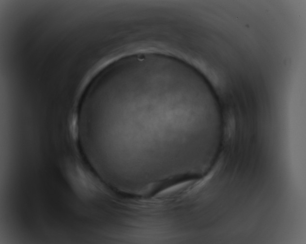 X0000095671509200801081158