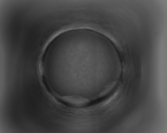 X0000095671510200801081158