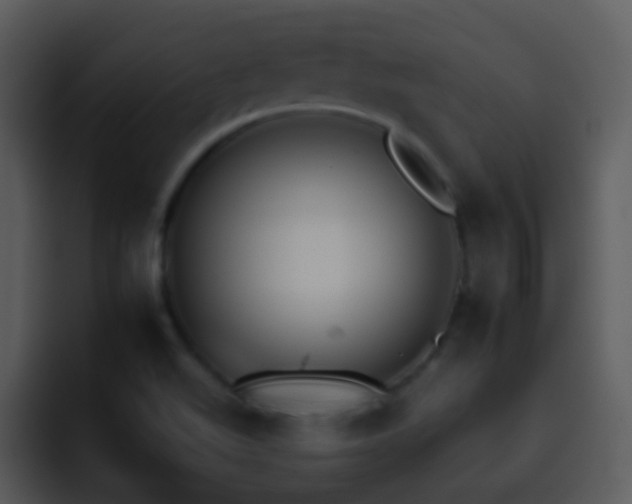 X0000095671511200801081158