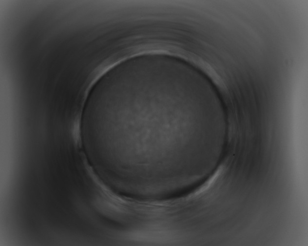 X0000095671513200801081158