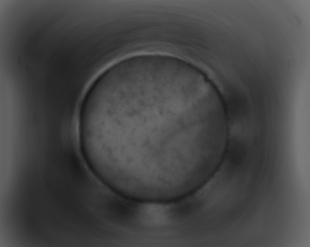 X0000095671514200801081158