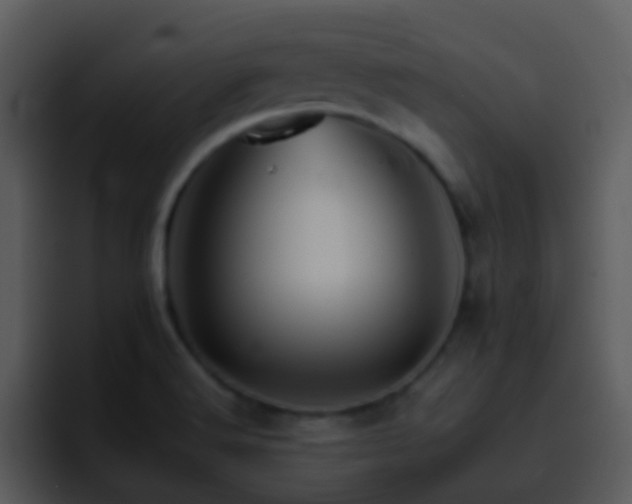 X0000095671516200801081158