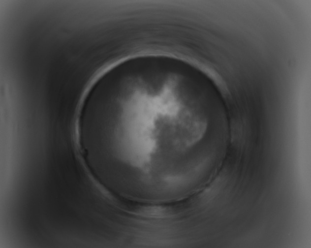 X0000095671517200801081158