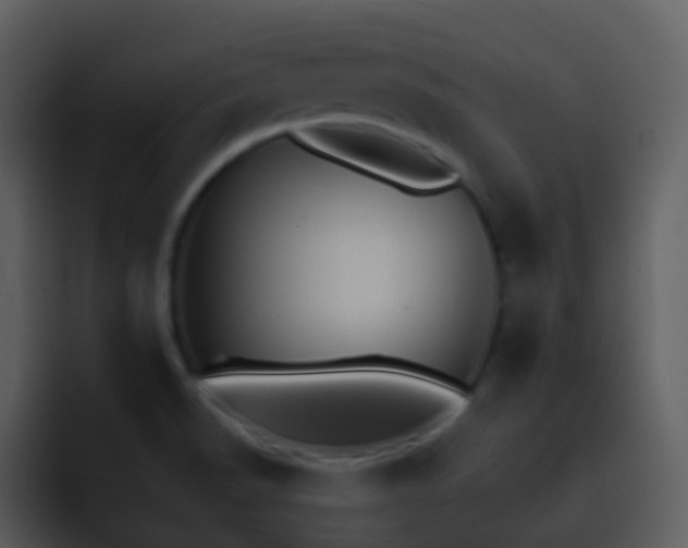 X0000095671518200801081158