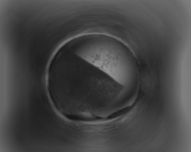 X0000095671519200801081158