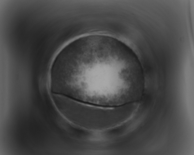 X0000095671520200801081158