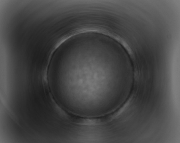 X0000095671521200801081158