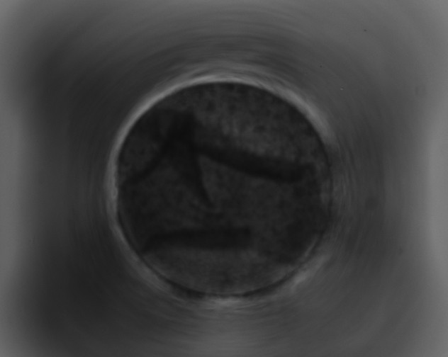 X0000095671522200801081158