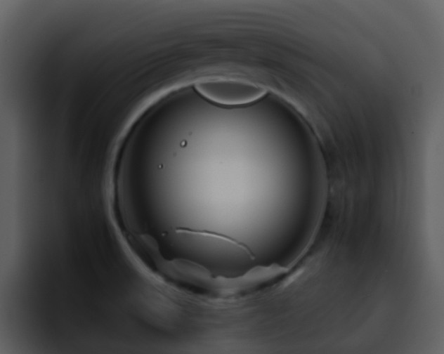 X0000095671523200801081158
