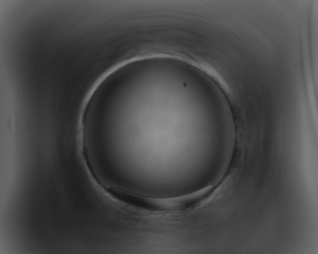 X0000095671524200801081158