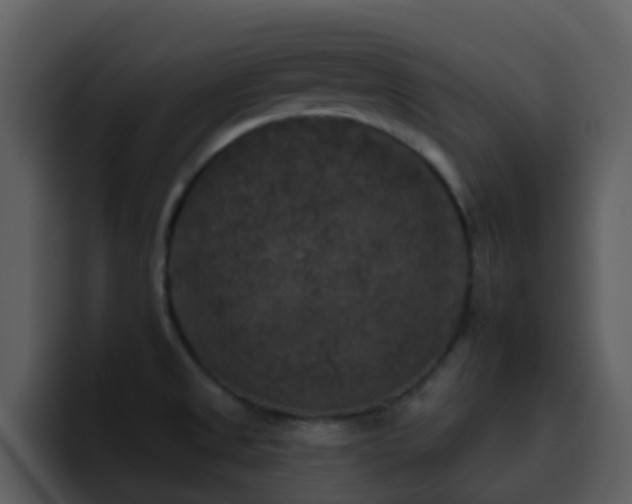 X0000095671525200801081158