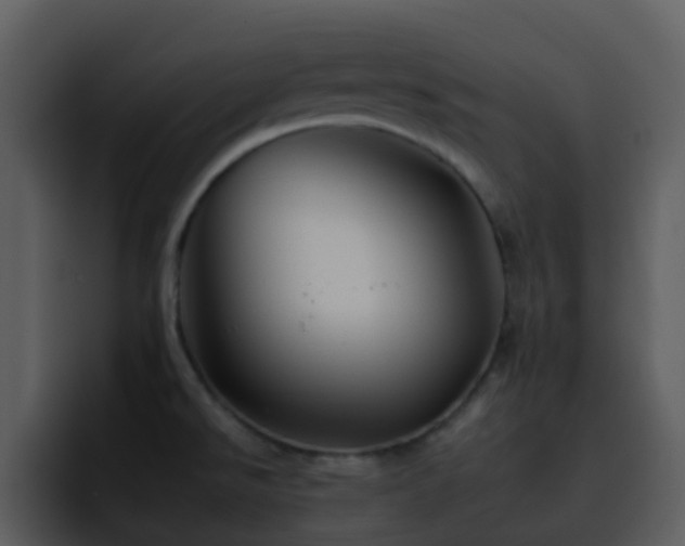 X0000095671526200801081158