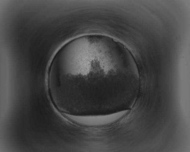X0000095671527200801081158