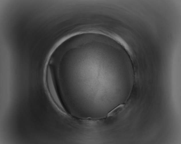 X0000095671528200801081158
