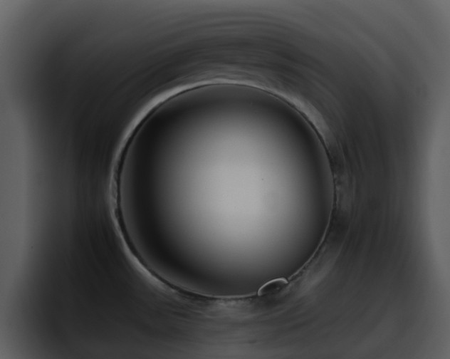 X0000095671531200801081158