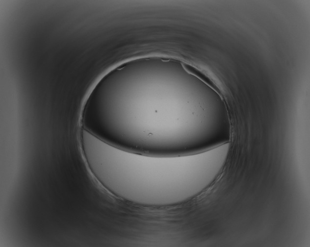 X0000095671532200801081158