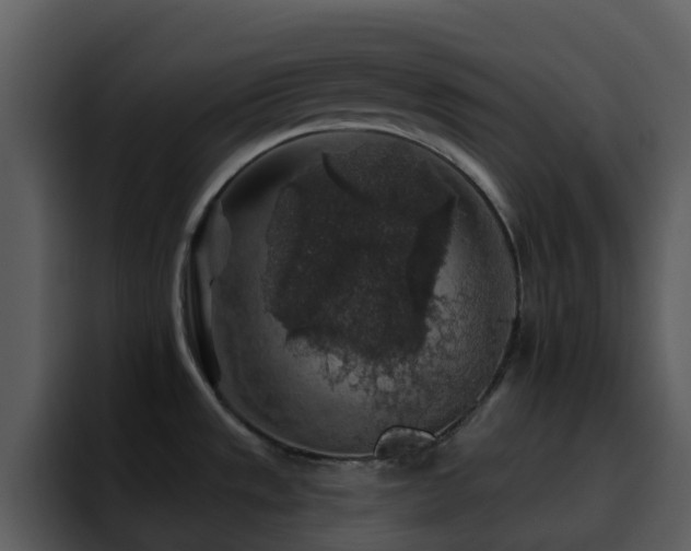 X0000095671533200801081158