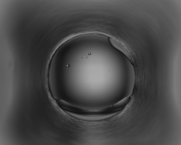 X0000095671534200801081158